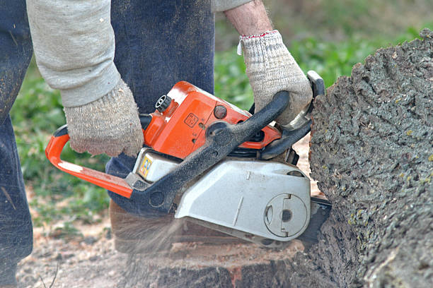 Lawn Edging